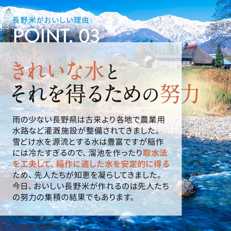 信州米 こしひかり 白米