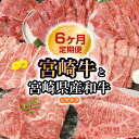 【ふるさと納税】宮崎牛と宮崎県産和牛 6ヶ月 定期便 ミヤチク 国産