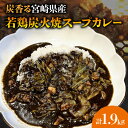 【ふるさと納税】炭香る 宮崎県産若どり 炭火焼 スープカレー 190g×10袋 計1.9kg 若鶏 炭火焼 カレー スープカレー 炭火 鶏肉 肉 国産鶏 お惣菜 惣菜 料理 食品 加工食品 アウトドア キャンプ カレーライス 冷凍 冷凍食品 簡単調理 湯煎 レンジ 宮崎県 宮崎市 送料無料