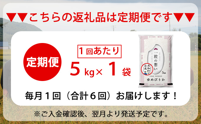 令和6年産  定期便 6ヵ月連続お届け ゆめぴりか 5kg 精米 北海道 共和町