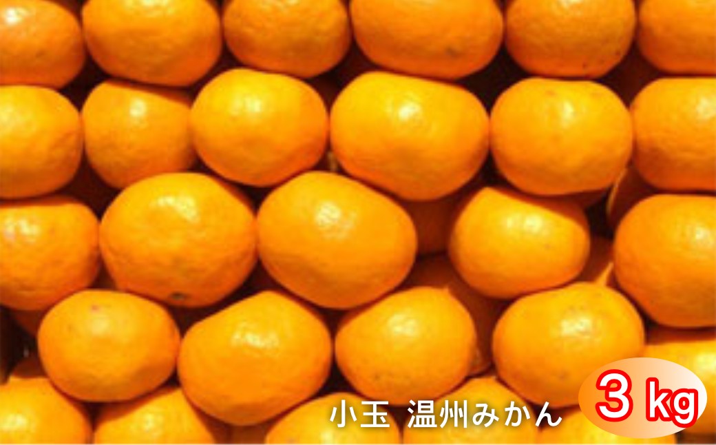 
                  太良町 山本農園の「小玉 温州みかん（一口みかん）」 3kg
                