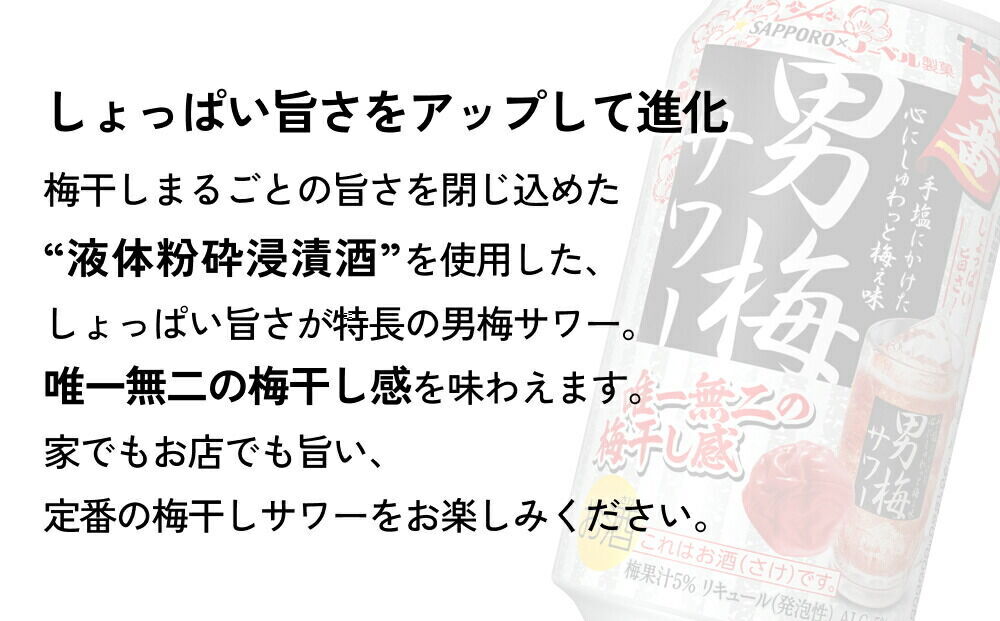 【定期便6ヶ月】サッポロ 男梅サワー 500ml×24缶(1ケース)(合計144缶) 缶 チューハイ 酎ハイ サワー