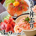 【ふるさと納税】【レビューキャンペーン】_お試し丼ぶり3種9パックセット　SS-34_ カツオ マグロ ネギトロ セット 丼 食べ比べ お試し 魚介 魚 産直 小分け 簡単調理 鹿児島 枕崎 どんぶり 3種 鰹 まぐろ タタキ ねぎとろ かつお 人気 冷凍 【1505334】