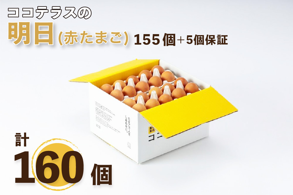 
ココテラスの明日（赤たまご）155個+5個保証（計160個）
