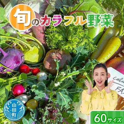 ふるさと納税 山田町 【数量限定】三陸山田産 カラフル 野菜 詰め合わせ 令和8年5月中旬以降発送 60サイズ