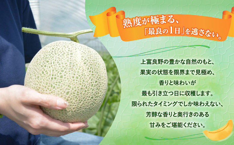 【令和8年産】メロン 富良野 高糖度 赤肉メロン 計4玉 （2玉×2箱） めろん 赤肉 果物 フルーツ 甘い 糖度 約1.8kg ～ 2.3kg うっちーfarm 北海道 メロン かみふらの フルーツ