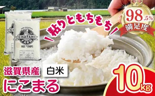 【7年産】近江米 にこまる 白米 10kg 【V018W1】 近江米