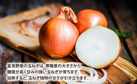 【2026年秋冬発送】北海道富良野産 たまねぎ 約10kg (Lサイズ前後) 野菜 玉ねぎ