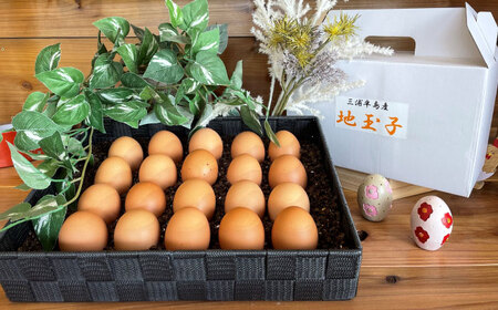 餌にこだわった三浦半島産赤たまご　20個 赤たまごたまご たまご こだわりたまご たまご  [AKET003]