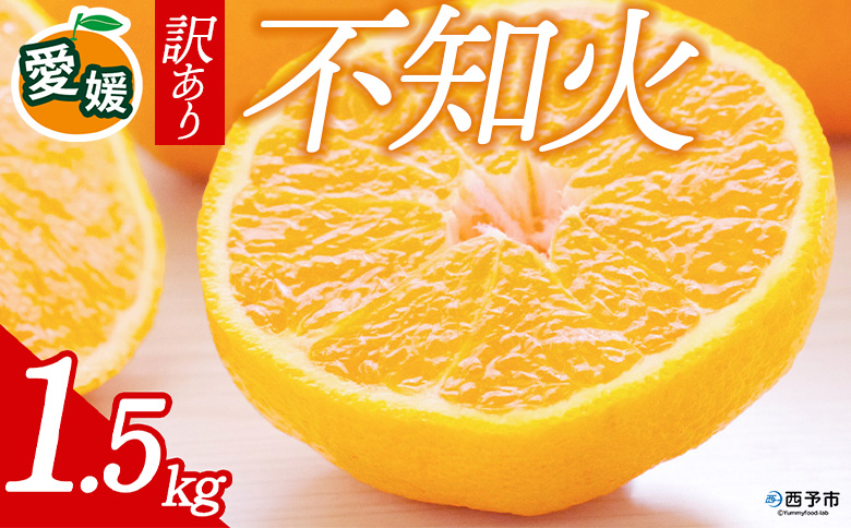 先行予約＜訳あり 愛媛県産 不知火 合計約1.5kg＞ 『2027年2月以降順次出荷予定』ミヤモトオレンジガーデン 愛媛県 西予市