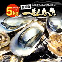 【ふるさと納税】【先行予約】豊前海一粒かき 5kg 【2024年12月or2025年1月以降順次発送】 《豊前市》【豊築漁業協同組合】 牡蠣 カキ かき 牡蛎[VAG010] 23000 23000円