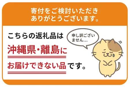 すいたんマスコット1個（普段着バージョン）【大阪府吹田市】
