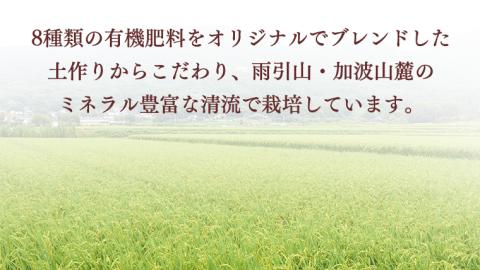 令和5年産 桜川市 の 厳選 甘引米 コシヒカリ 玄米 ５kg 特別栽培米 コシヒカリ こしひかり 玄米 米 こめ コメ 有機肥料 桜川市産 茨城県 いばらき[BA003sa]