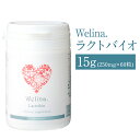 【ふるさと納税】ウェリナラクトバイオ 15g 250mg×60粒 1本 健康 錠剤 乳酸菌 サプリメント 栄養補助食品 二戸市 送料無料