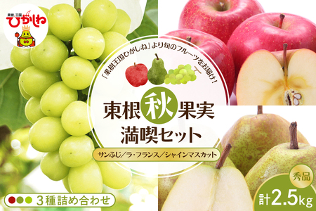 【東根秋果実満喫セット】サンふじ＆ラフ＆シャイン約2.5kg 山形県 東根市 東根農産センター提供 hi027-202-1 りんご サンふじ ラフランス 洋梨 洋ナシ シャインマスカット ぶどう フルーツ 果物 くだもの 産地直送 期間限定 特産品 お取り寄せ グルメ 旬 秋 東北 山形県 東根市 送料無料