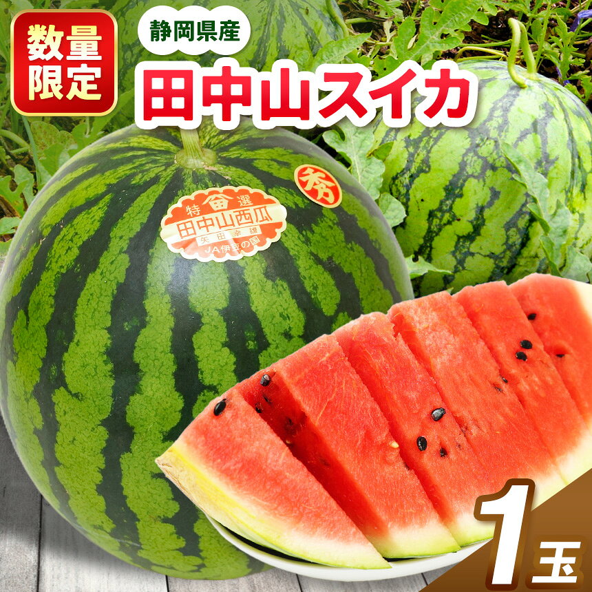 【ふるさと納税】【令和9年度分先行予約】田中山スイカ（1玉） | スイカ すいか 西瓜 田中山スイカ 田中山 果物 フルーツ 夏フルーツ 夏の果物 大玉スイカ みずみずしい 産地直送 農家 生産者 先行予約 夏 デザート おやつ ご家庭用 家族 贈り物 ギフト 静岡県 伊豆の国市