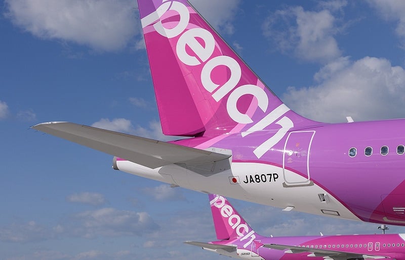 PeachでGo！！泉佐野市宿泊 旅行クーポン（150,000円分）【宿泊 旅行 ホテル トラベル】 099H388