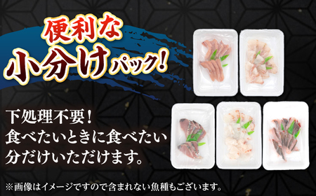 【全12回定期便】 【勝本漁港直送】壱岐島の刺身盛りセット ≪壱岐市≫【あかりや】 冷凍配送 刺身 小分け 産地直送 お刺身 刺し身 寿司 海鮮 [JFO008]