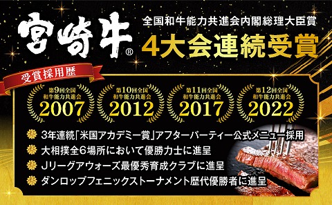 宮崎牛サーロインステーキ 合計1kg