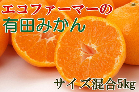 エコファーマーのこだわり有田みかん5kg(サイズ混合)◇ ｜ みかん みかん みかん みかん みかん ※2025年11月中旬～2026年1月中旬頃に順次発送予定