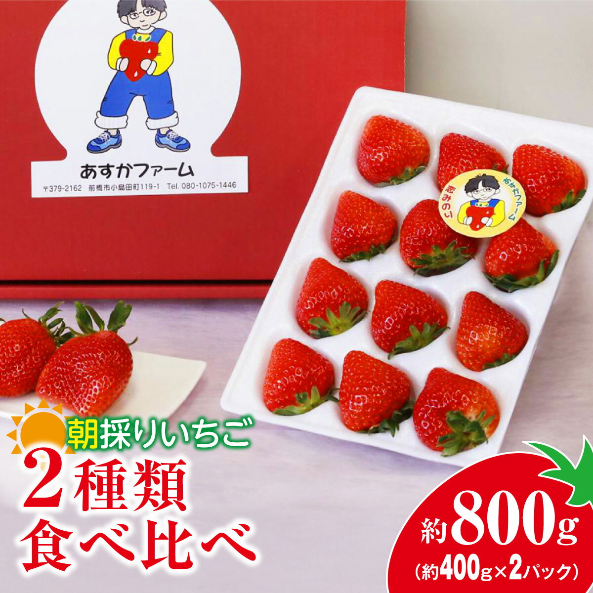 【ふるさと納税】＜2026年 先行予約＞いちご 2種食べ比べ 400g × 2パック 800g ｜コク 甘み 朝採れ やよいひめ ななか 恋みのり あまおとめ あすかルビー 贈答用 新鮮 完熟 いちご 旬 苺 産地直送 果汁 あまい 人気 高評価 減農薬 美容 健康 旨味 高糖度 群馬県 前橋市
