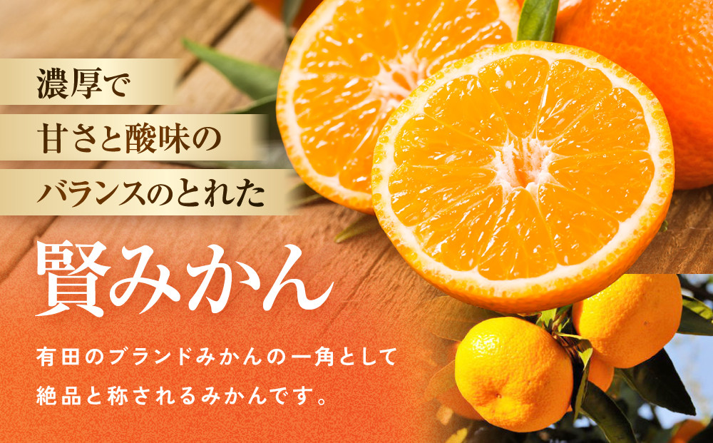 有田のブランド「賢みかん」約10kg サイズ混合 ご家庭用［2026年11月中旬頃より順次発送］