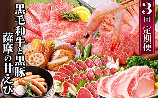 定期便(3回配送)黒毛和牛・黒豚&薩摩の甘エビ　DD5-0002【1573827】 _ 肉 お肉 魚 牛肉 豚肉 かつお A5等級 黒毛和牛 切り落とし 黒豚 小間切れ 天然 タカエビ 海老 鰹 タタキ さつま揚げ 詰め合わせ ソーセージ 焼き肉 焼肉 BBQ A5