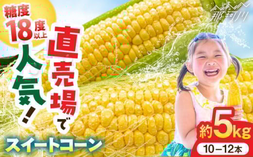 
            【先行予約 2026年5月末より発送】極甘 朝採れ スイートコーン 約5kg (10-12本入り) とうもろこし 極甘 トウモロコシ 甘い ＜ちくし農園＞那珂川市 コーン もろこし 人気  糖度 野菜 産地直送  お取り寄せ 朝採り 大容量 期間限定[GDU001]
          