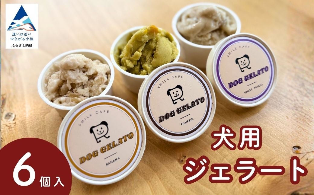 
                  【犬用 ジェラート】 6個セット アイス ヒューマングレード 愛犬 おやつ いぬ わんちゃん 食べ比べ 詰め合わせ 詰合せ 暑さ対策 誕生日 ギフト | 石川県 小松市 【スマイルカフェ】
                