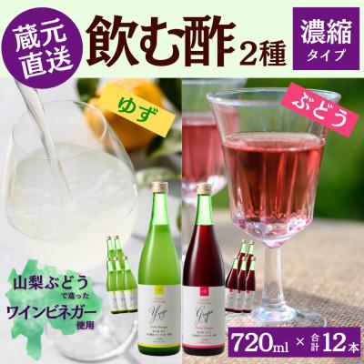 ふるさと納税 山梨県 お酢のイメージを変える!ドリンクビネガー2種12本セット〈濃縮タイプ飲む酢/山梨産ビネガー使用〉