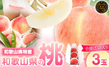 和歌山県の桃 3玉 手提げ袋入り もも 株式会社ふるーつふぁーむわかやま 《7月上旬-8月中旬頃出荷》 和歌山県 紀の川市