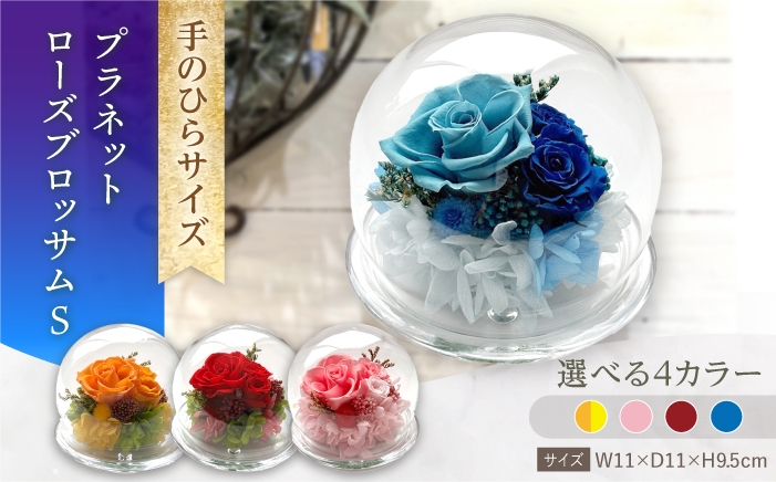 
                  プラネットローズブロッサムS プリザーブドフラワー アレンジメント お花ギフト / 大村市 サニーサイドファクトリー [ACCK040]
                