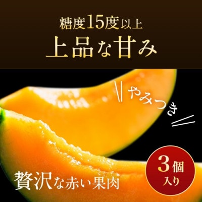 【2023年7月より発送・先行受付】帯広メロン・3玉　北海道　赤肉メロン　フルーツ　産直