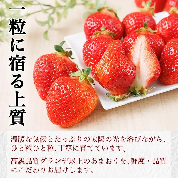 ＜数量限定・先行予約受付中！2027年1月中旬～2月上旬に順次発送＞福岡県産苺「あまおう」グランデ以上(計約540g)いちご 苺 フルーツ 果物 くだもの 福岡限定 家庭用 冷蔵 ＜離島配送不可＞【k