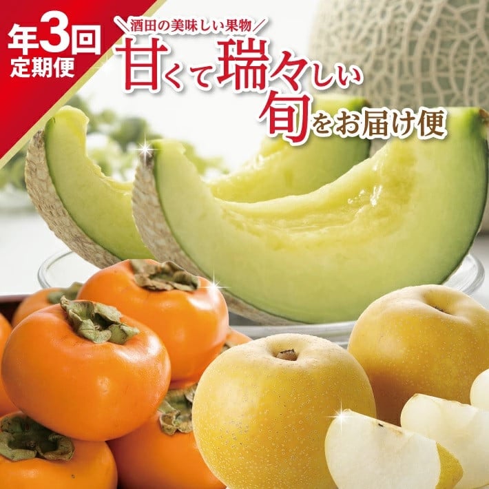 
            ≪3回定期便≫ 酒田の美味しい果物！甘くて瑞々しい旬をお届け便2026 8月上旬～9月下旬 アールスメロン 8月下旬～9月下旬 刈屋梨 10月中旬～11月下旬 庄内柿 計3回 頒布会 メロン 和梨 梨 柿 かき 山形県 酒田市 庄内 マルト直治郎商店　SE0486
          