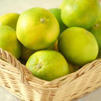 【極早生みかんの逸品】有田産ゆら早生みかん 約5kg(上富田町)