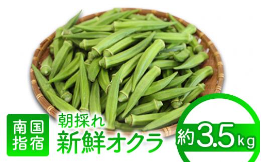 【2025年7月上旬～発送！】夏の元気の源! 朝採れ新鮮いぶすきオクラ約3.5kg(指宿促成青果/A-429) 野菜 夏野菜 旬 特産 夏 新鮮 オクラ いぶすき 鹿児島 指宿市 お福分け おすそ分け