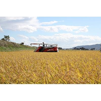 ふるさと納税 登米市 ササニシキ白米5kg(宮城県認証栽培期間中農薬・化学肥料不使用栽培) |  | 02