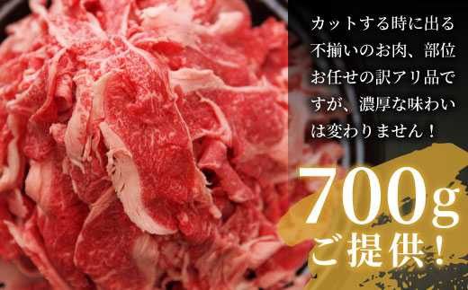 飛騨牛 切り落とし 700g  牛肉 和牛 肉 お肉 切落し 不揃い にく 切り落し 東白川村 ブランド牛 国産 人気 おすすめ 薄切り きりおとし 岐阜 すき焼き お取り寄せ 冷凍 養老ミート