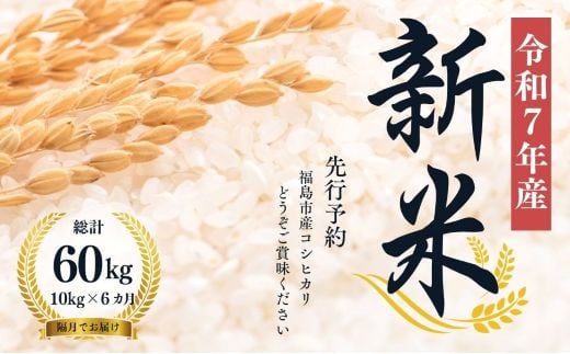 No.1499【令和７年産新米　先行予約】大文字屋米穀店【定期便6回】コシヒカリ 10kg（5kg×2）精米 （隔月でお届け）