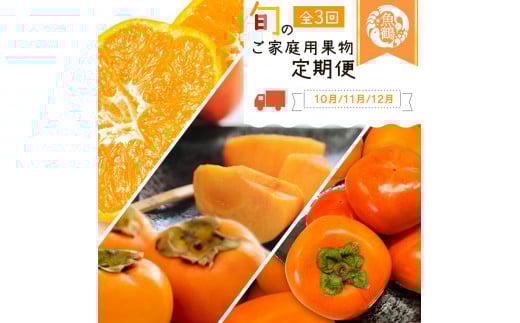【全3回】紀州和歌山産旬のご家庭用果物定期便 (ひらたねなし柿・富有柿・みかん)【tkb379】