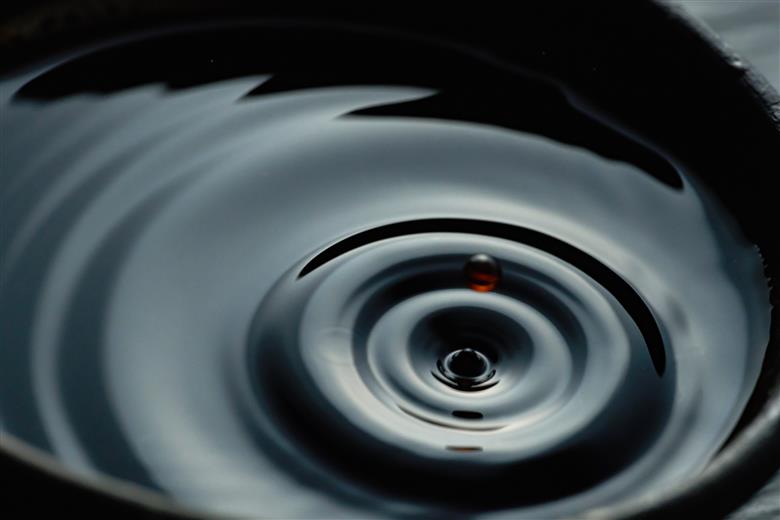 こだわり醤油と多可のおいしいお米と地酒セットＢ[114]