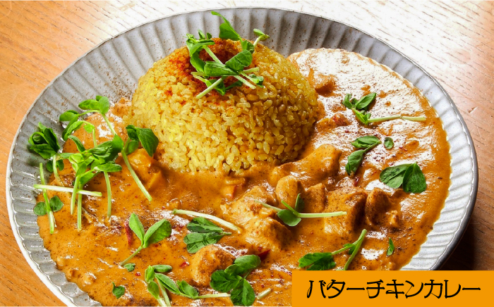 スパイスカレー 食べ比べセット 3種類 150g×各3 計9パック / バターチキンカレー グリーンカレー キノコとセロリの キーマカレー カレー 南島原市 / はなぶさ [SCN052]