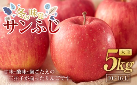 冬の味覚 りんご サンふじ 大玉 5kg（10～16玉） 福島県 伊達市 林檎 リンゴ フルーツ 果物 産地直送 F20C-662