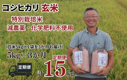 
                  玄米【コシヒカリ 定期便 玄米 5kg✕3か月連続 松原グリーンファーム】 特別栽培米 コシヒカリ 玄米 5kg （5kg×1袋） 3か月  合計 15kg  令和8年産 2026年産 小分け 単一米   減農薬 化学肥料不使用 埼玉県認証 埼玉県 川島町
                