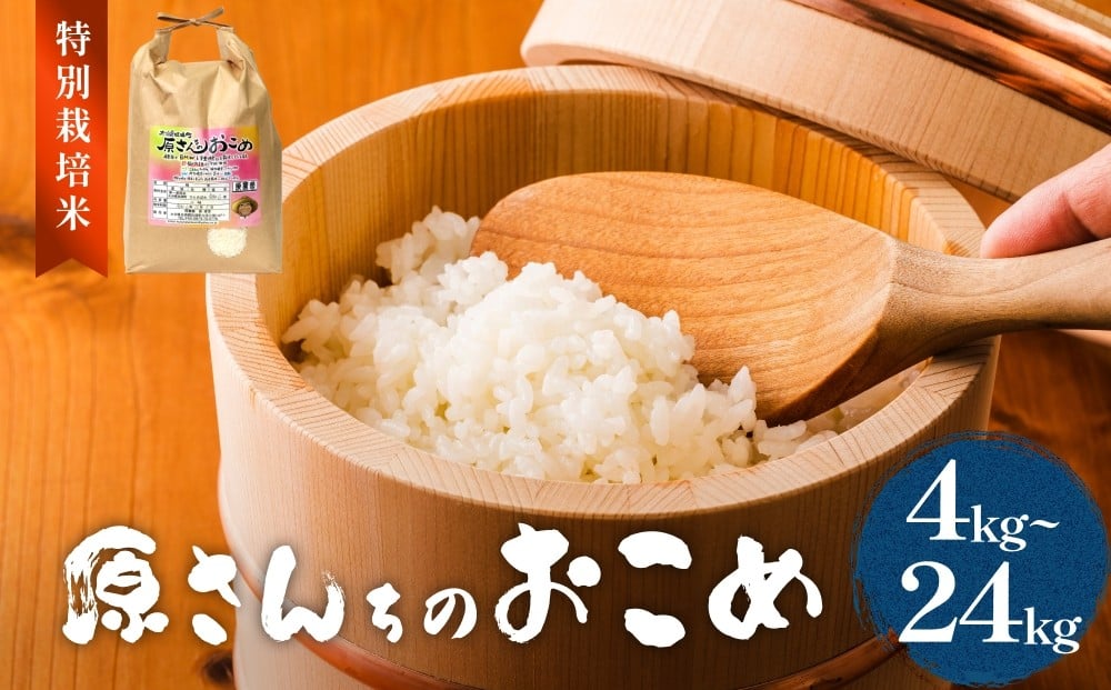 
            令和7年度産 原さんちのお米 選べる 合計 4kg - 24kg  ヒノヒカリ  特別栽培米 原農園 有機栽培 化学肥料不使用 アートテン農法 抗酸化農法 完熟堆肥 有効微生物農法 産直 お米 栄養価 体に良い おいしい 安心 田植え 収穫 定期便
          