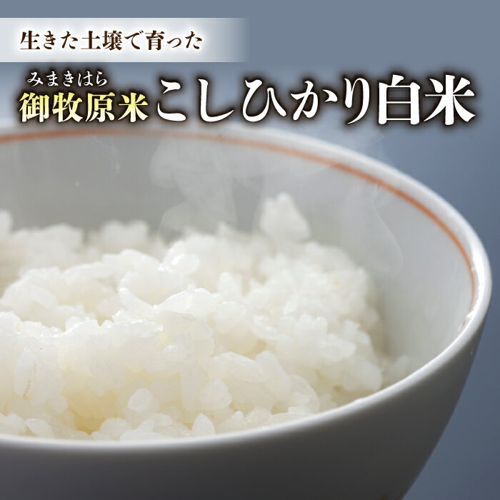 【ふるさと納税】【里山JAPAN】長野県産！生きた土壌で育った御牧原米こしひかり 白米（八分づき・令和7年産）｜2025年10月上旬以降に発送予定