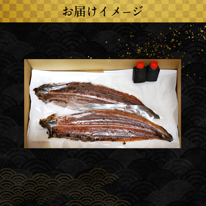 「国産うなぎ蒲焼」2尾(480g～500g)