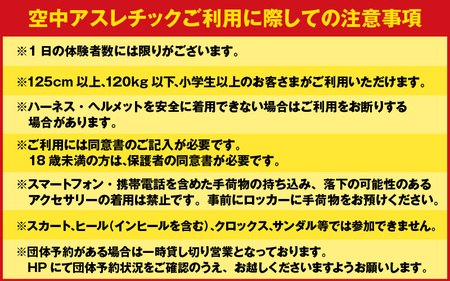 「若狭たかはまエルどらんど」空中アスレチック体験チケット(小学生・中学生)2枚