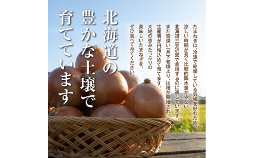 三笠aroundたまねぎＭサイズ10kg《11月下旬頃より発送予定》【3300302】